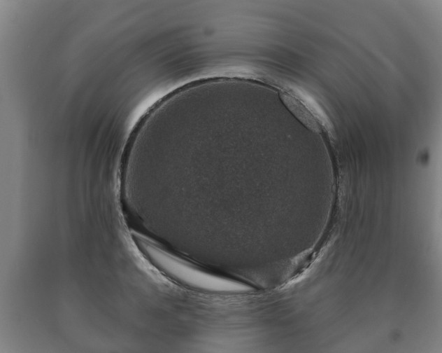 X0000090730944200707271400