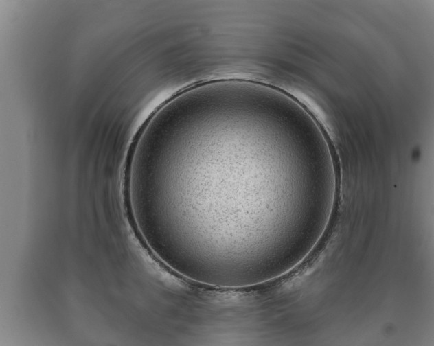 X0000090730949200707271400