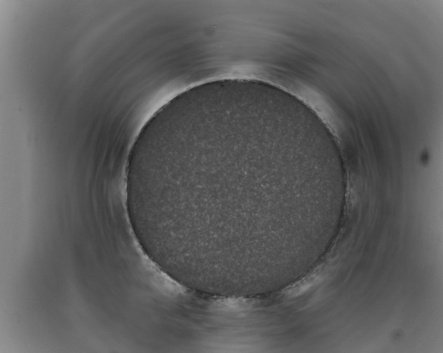 X0000090730950200707271400