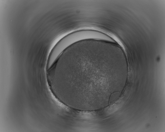X0000090730951200707271400