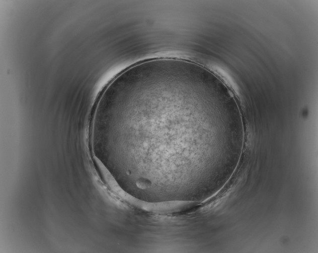 X0000090730952200707271400