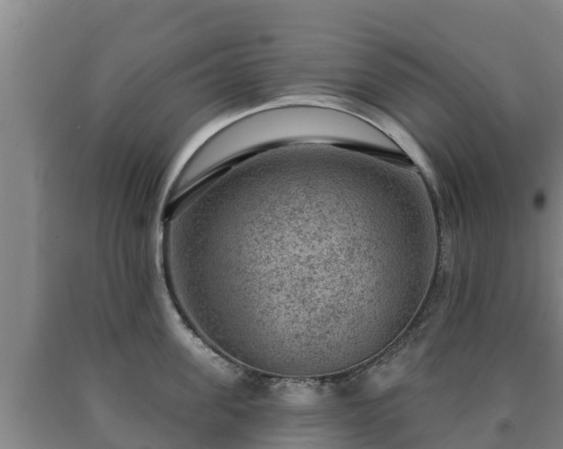 X0000090730955200707271400