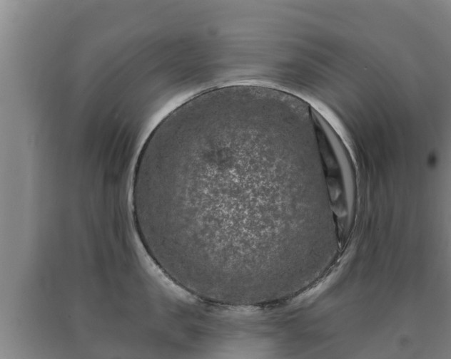 X0000090730957200707271400