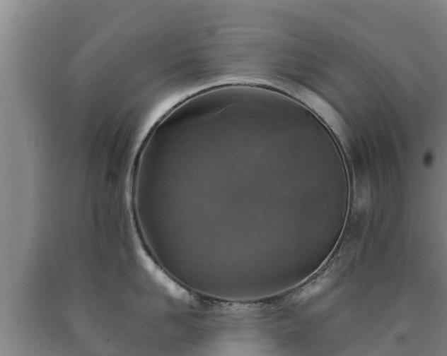 X0000090730958200707271400