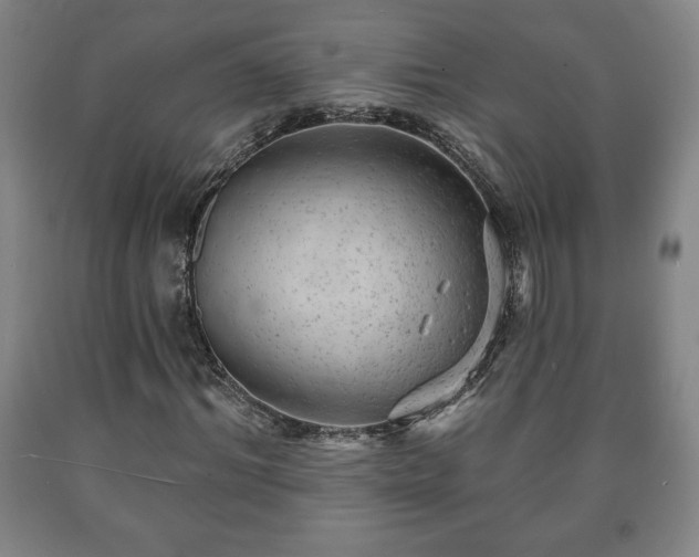 X0000090730964200707271400