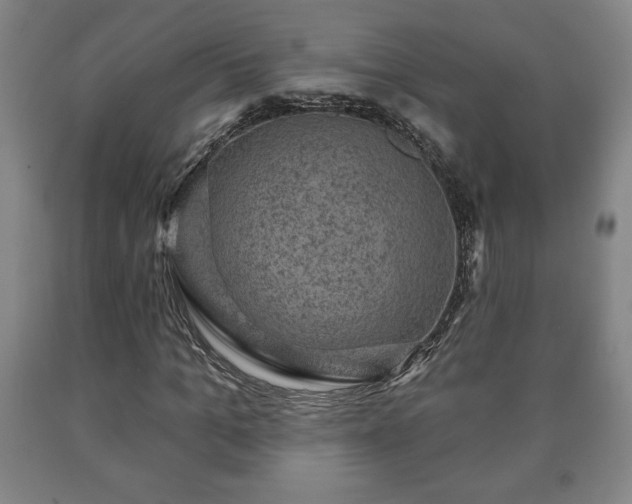 X0000090730965200707271400