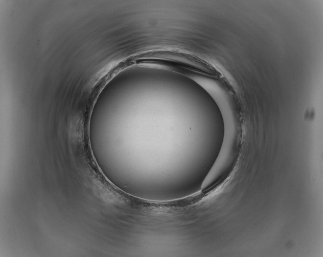X0000090730969200707271400