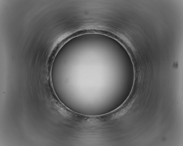 X0000090730974200707271400