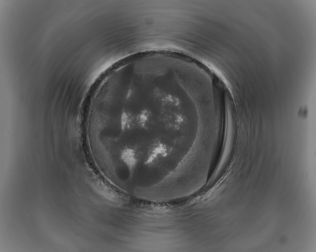 X0000090730975200707271359