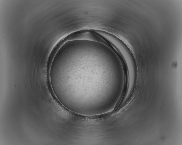 X0000090730976200707271359