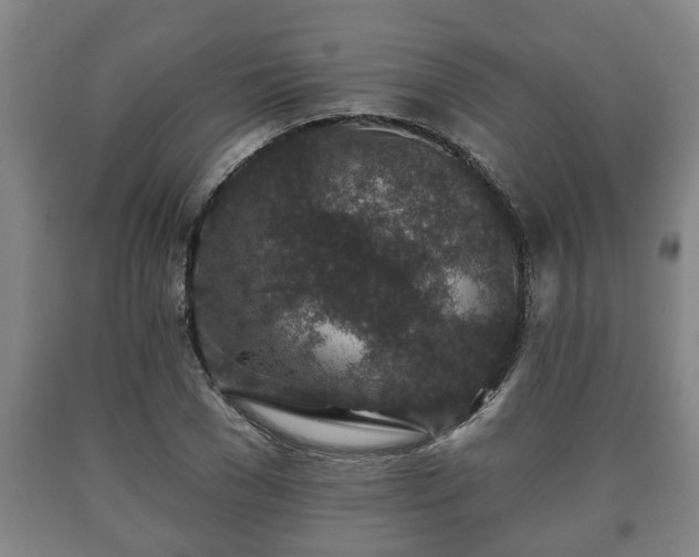 X0000090730977200707271359