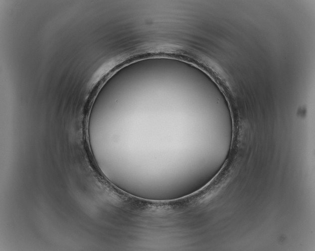 X0000090730978200707271359