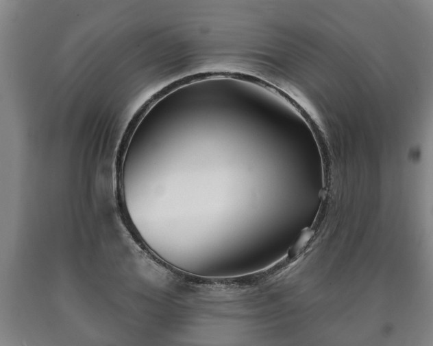 X0000090730980200707271359