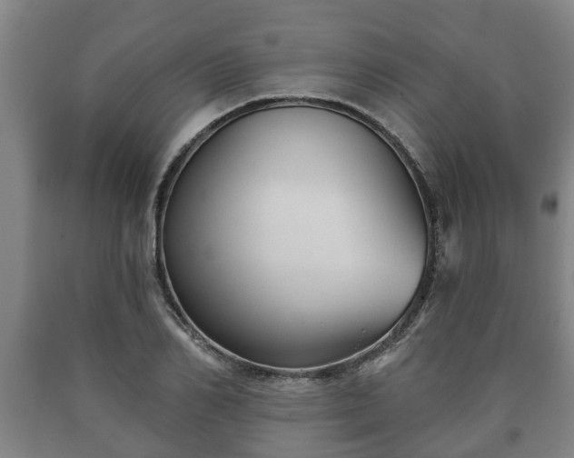 X0000090730982200707271359