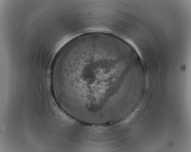 X0000090730983200707271359