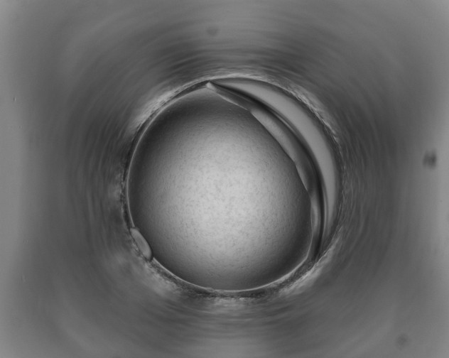 X0000090730985200707271359