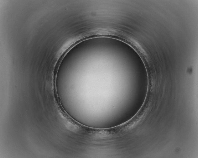 X0000090730986200707271359