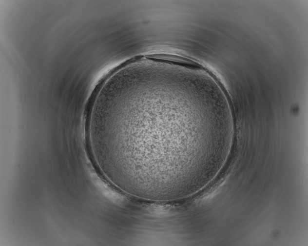X0000090730987200707271359