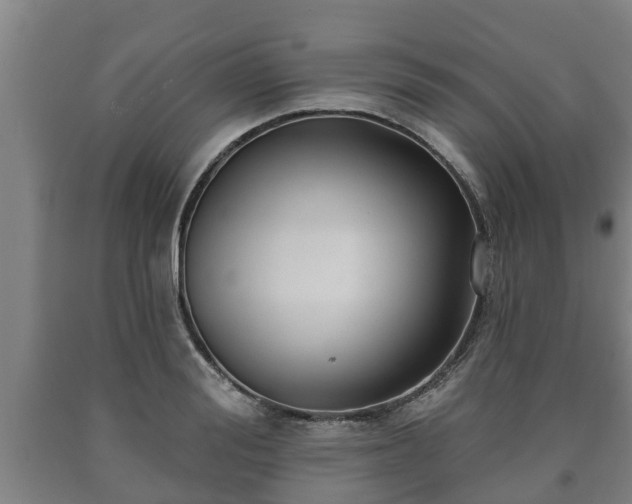 X0000090730988200707271359