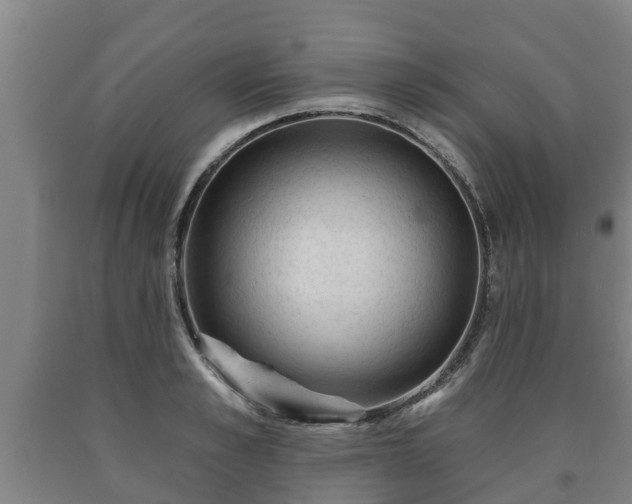 X0000090730989200707271359