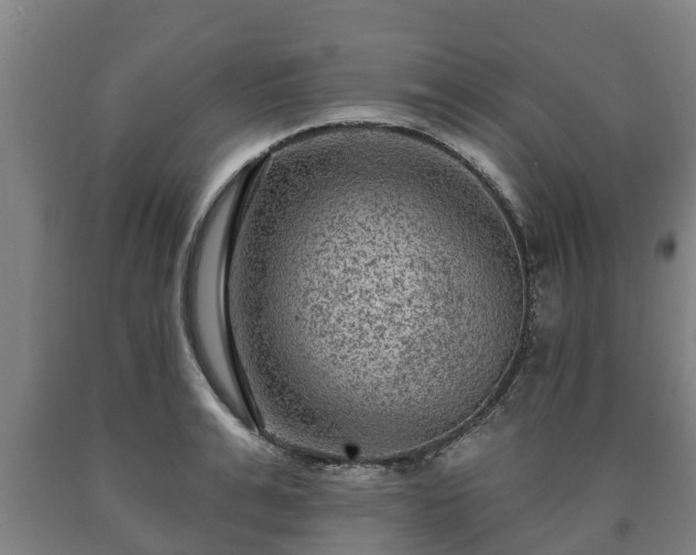 X0000090730991200707271359