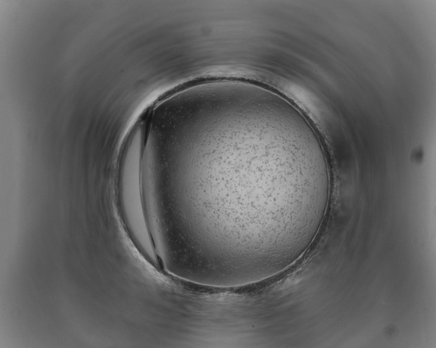 X0000090730992200707271359