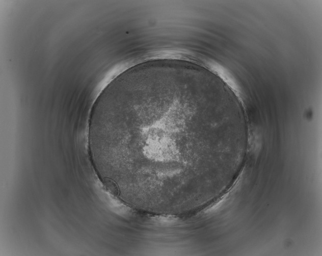 X0000090730994200707271359