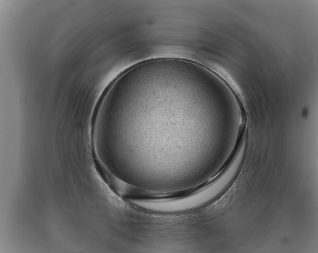 X0000090730996200707271359