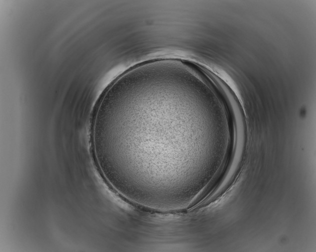 X0000090730997200707271359
