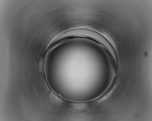X0000090731001200707271359