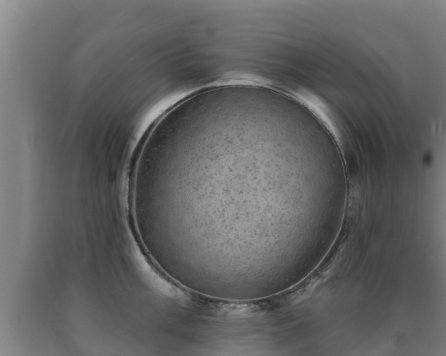 X0000090731003200707271359