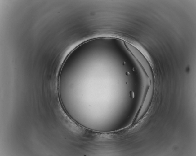 X0000090731004200707271359