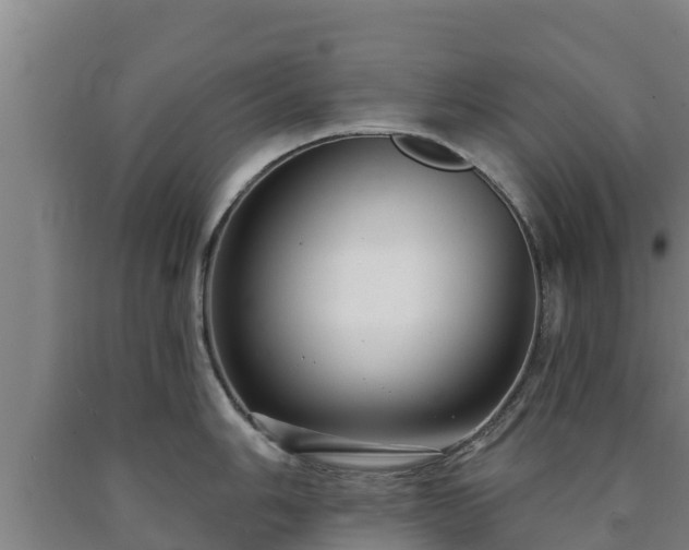 X0000090731006200707271359