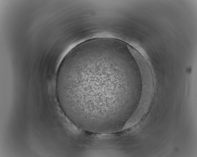 X0000090731008200707271359
