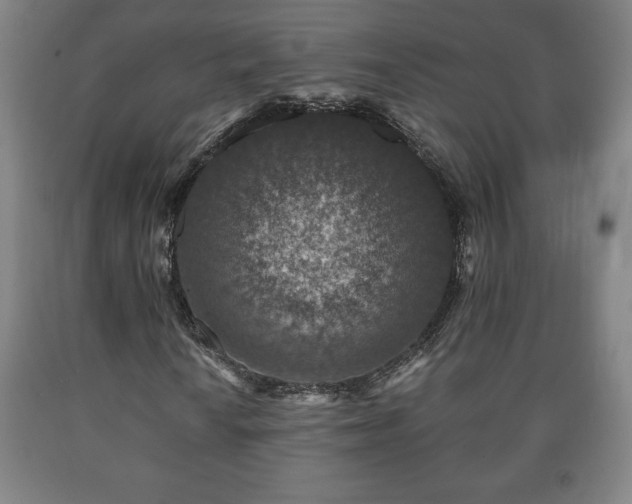 X0000090731010200707271358