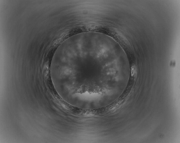 X0000090731011200707271358
