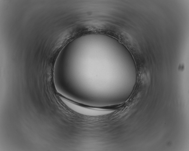 X0000090731012200707271358