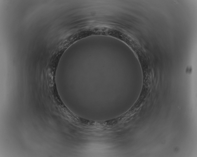 X0000090731013200707271358