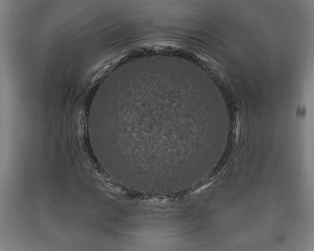X0000090731014200707271358