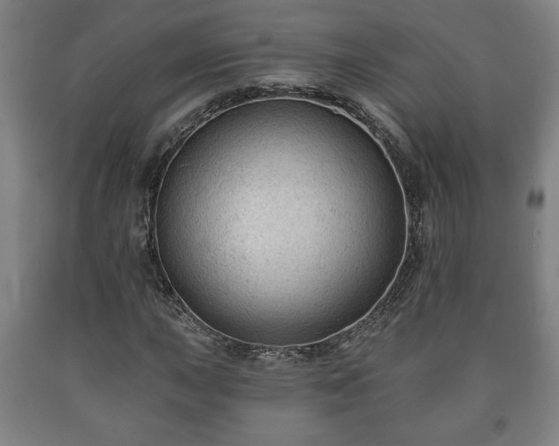 X0000090731015200707271358