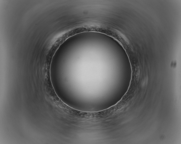 X0000090731016200707271358