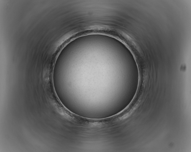 X0000090731017200707271358