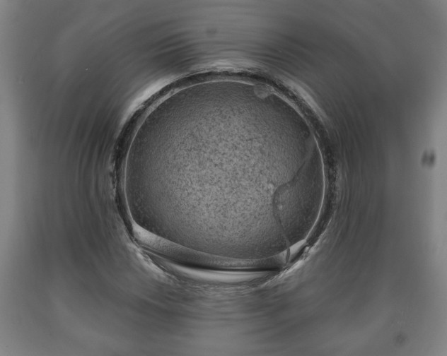 X0000090731018200707271358