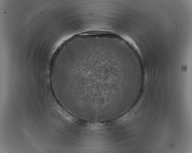 X0000090731019200707271358
