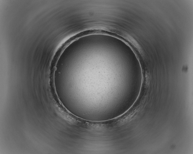 X0000090731020200707271358