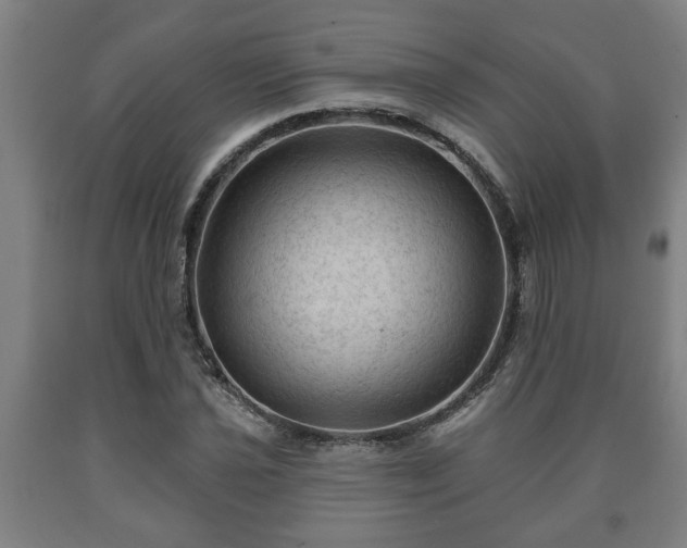 X0000090731021200707271358