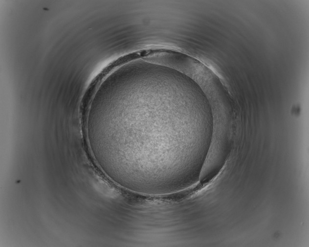 X0000090731022200707271358