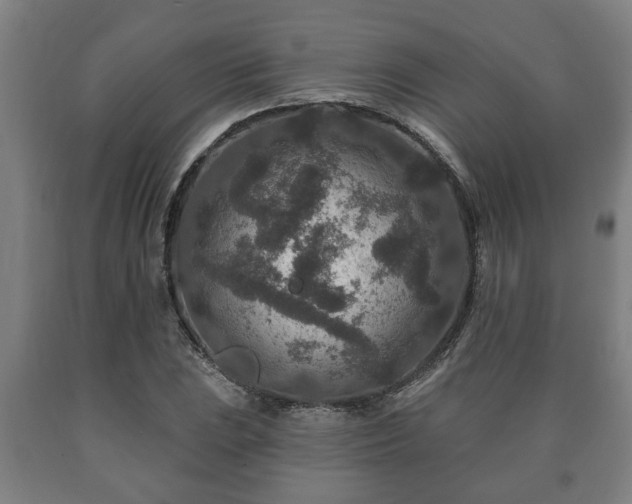 X0000090731023200707271358