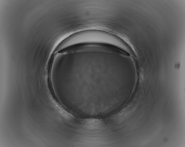 X0000090731024200707271359