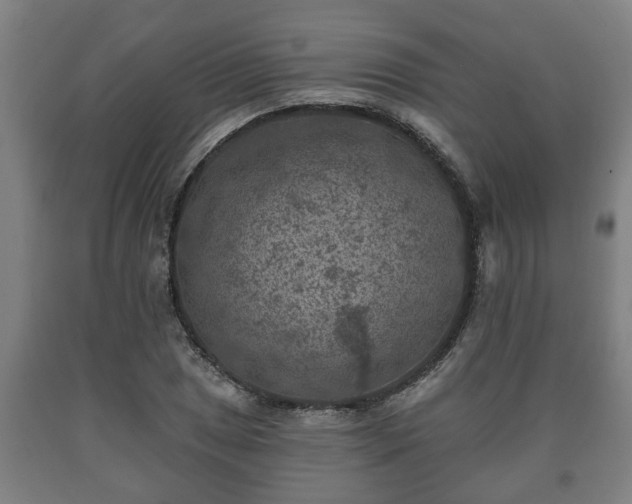 X0000090731025200707271359